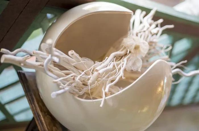 Valle Di Venere Casa de Campo *