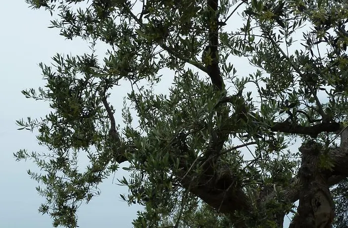 Valle Di Venere Casa de Campo Fossacesia