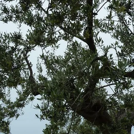 Valle Di Venere Landhuis Fossacesia